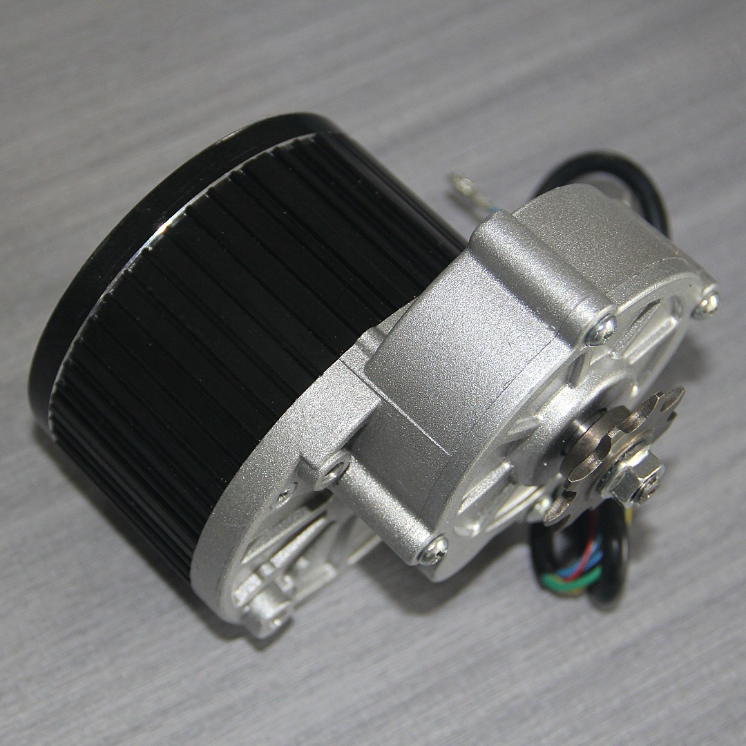 wheel gear bldc motor 500W