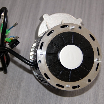 wheel gear bldc motor 500W 