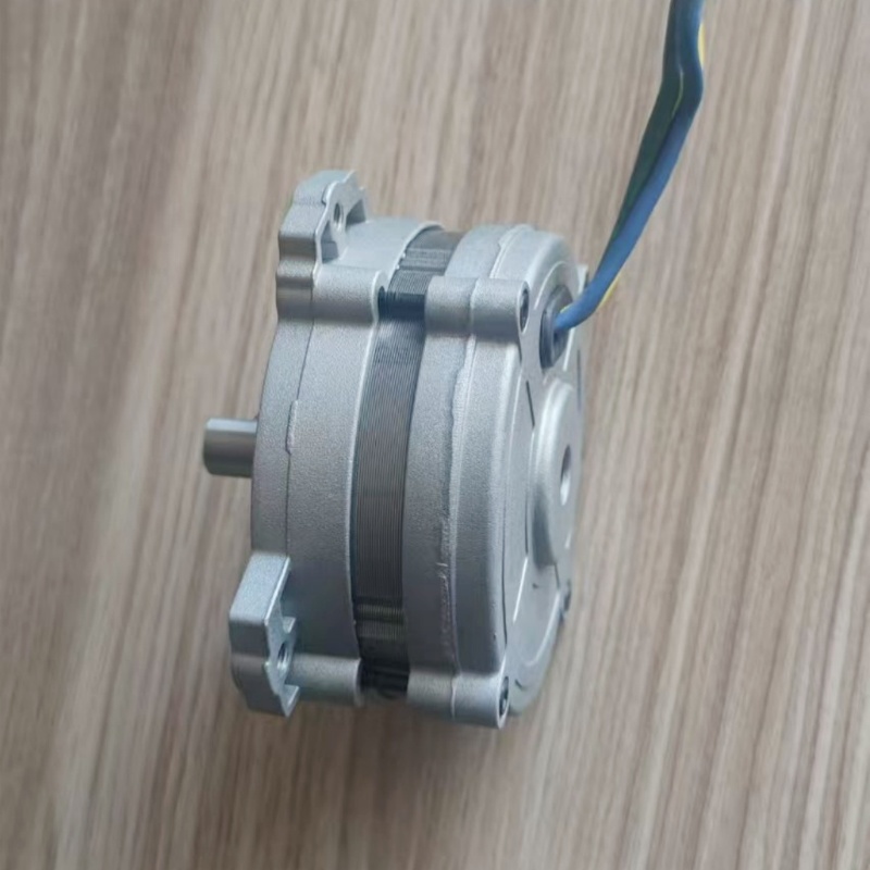 36V 500W BLDC motor for electric mower